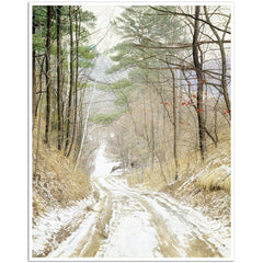 Giclée on Paper