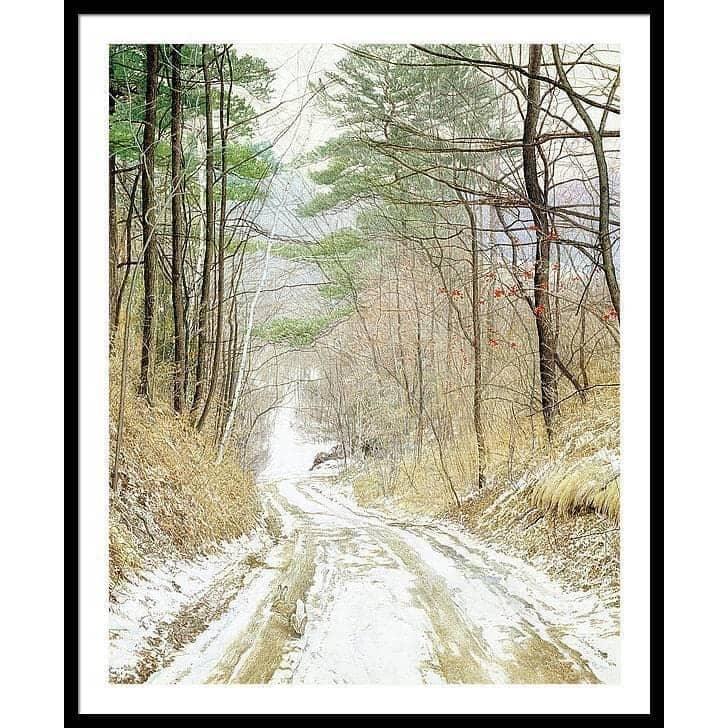 Cottontail Run - Framed Print | Artwork by Glen Loates