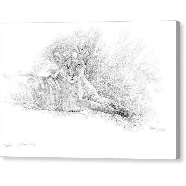 Cougar Basking - Canvas Print | Artwork by Glen Loates