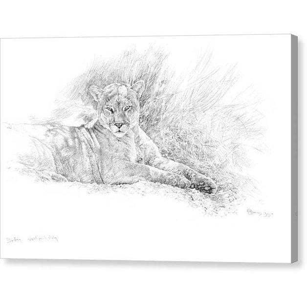 Cougar Basking - Canvas Print | Artwork by Glen Loates