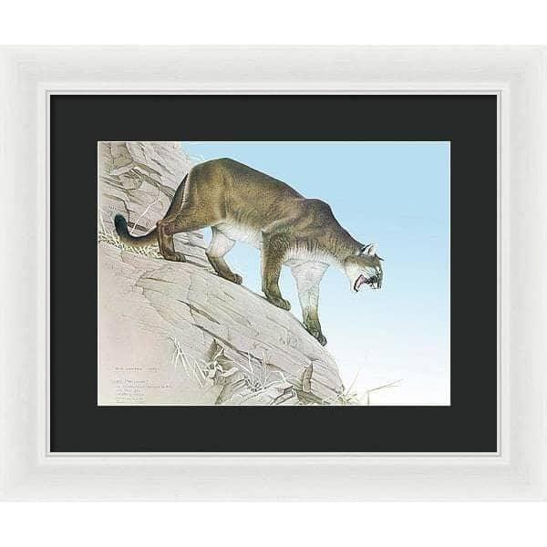 Cougar - Framed Print | Artwork by Glen Loates