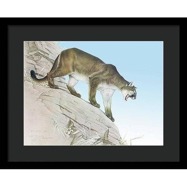 Cougar - Framed Print | Artwork by Glen Loates