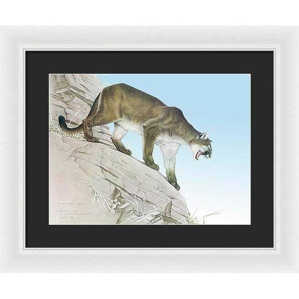 Cougar - Framed Print | Artwork by Glen Loates