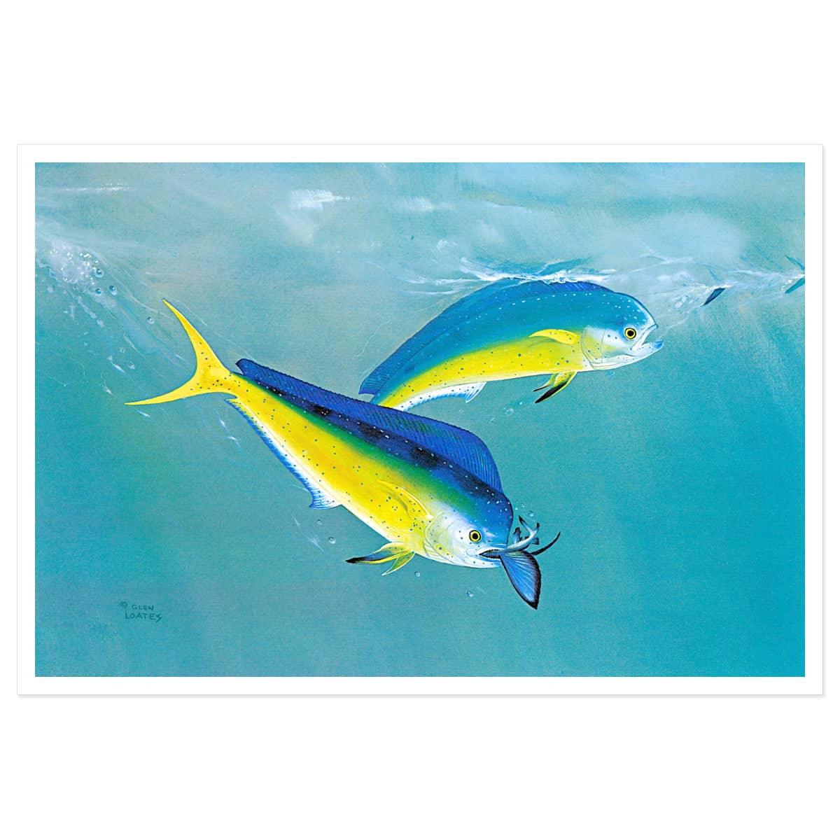 Dolphin - Art Print | Artwork by Glen Loates