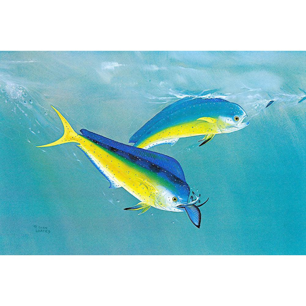Dolphin - Canvas Print | Artwork by Glen Loates