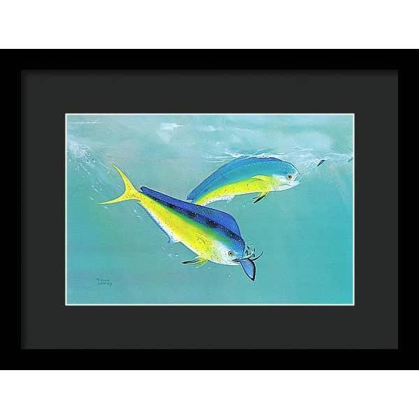 Dolphin - Framed Print | Artwork by Glen Loates