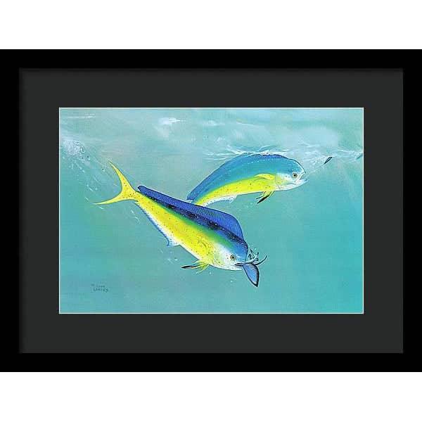 Dolphin - Framed Print | Artwork by Glen Loates