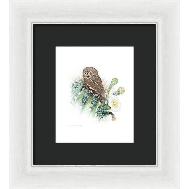 Elf Owl - Framed Print | Artwork by Glen Loates