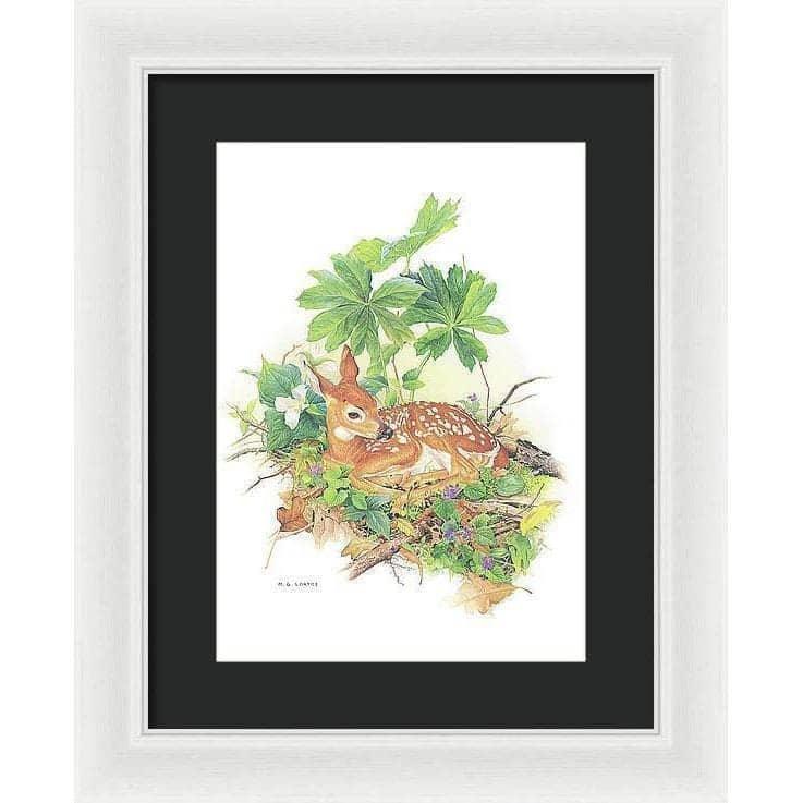 Fawn - Framed Print | Artwork by Glen Loates