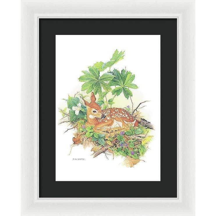 Fawn - Framed Print | Artwork by Glen Loates