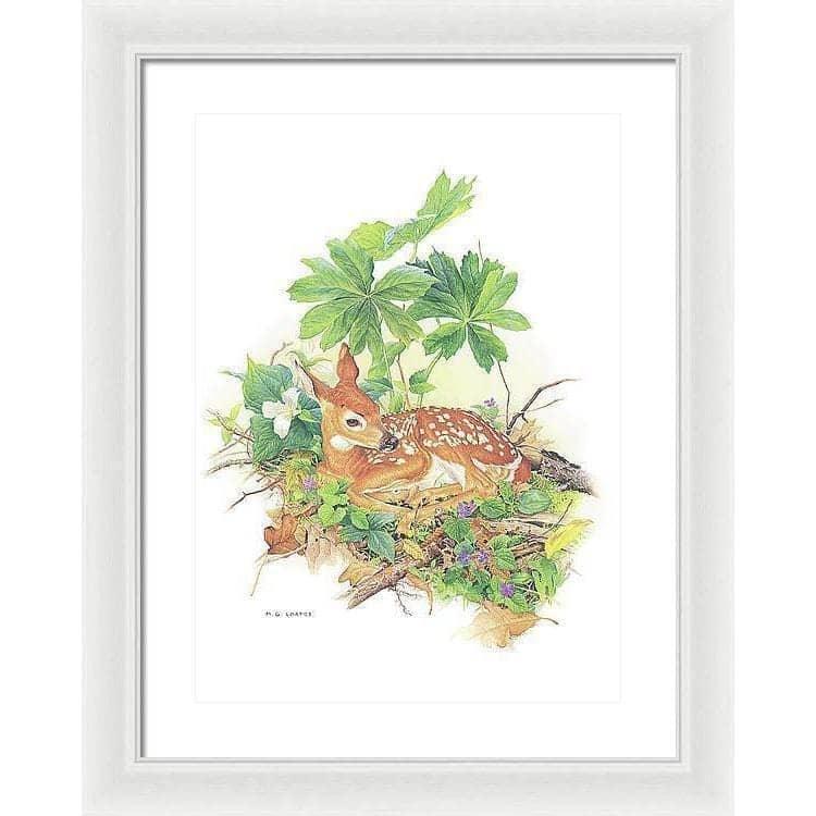 Fawn - Framed Print | Artwork by Glen Loates