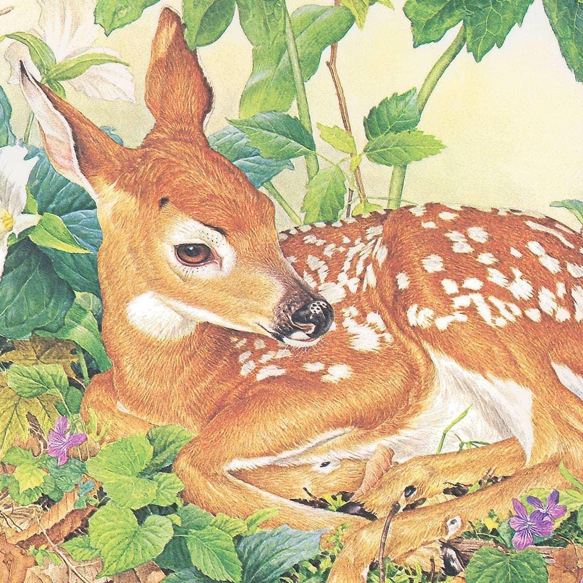 Fawn - Framed Print | Artwork by Glen Loates