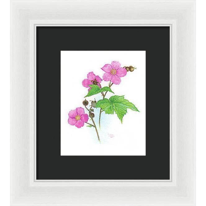 Flowering Raspberry - Framed Print | Artwork by Glen Loates