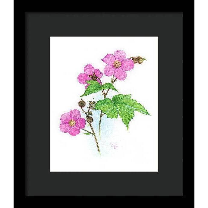 Flowering Raspberry - Framed Print | Artwork by Glen Loates