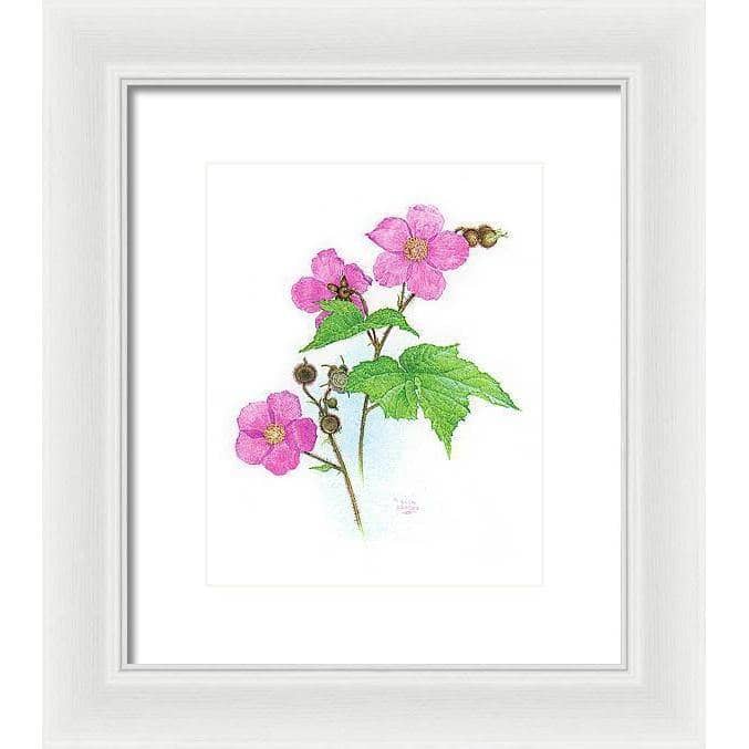 Flowering Raspberry - Framed Print | Artwork by Glen Loates
