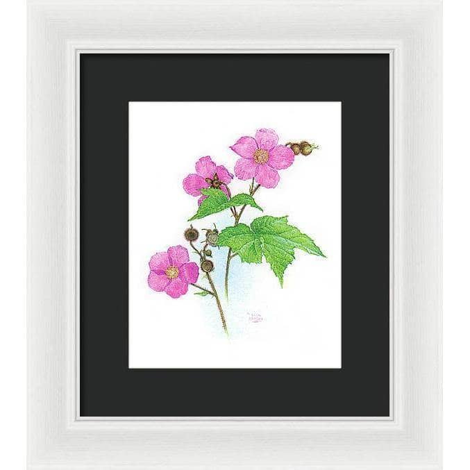 Flowering Raspberry - Framed Print | Artwork by Glen Loates