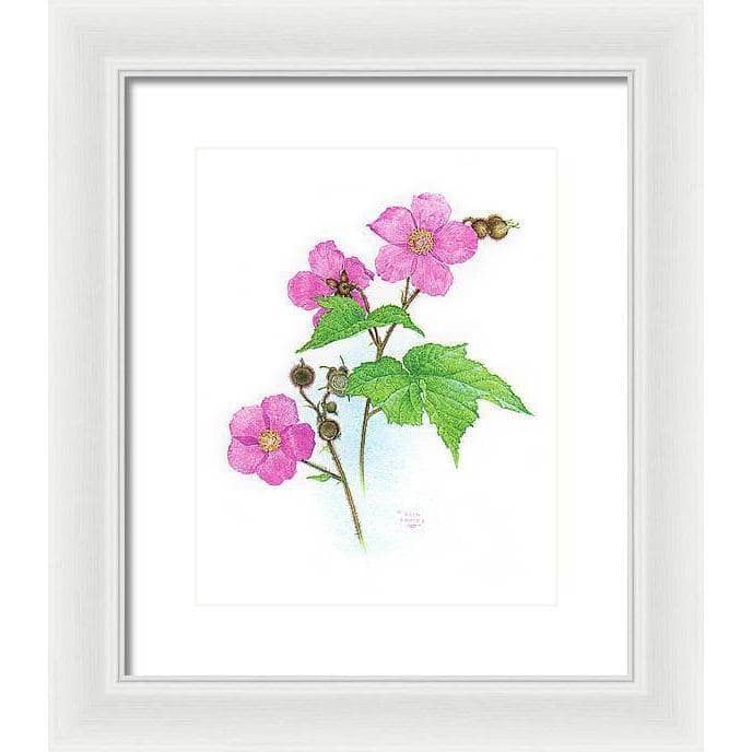 Flowering Raspberry - Framed Print | Artwork by Glen Loates