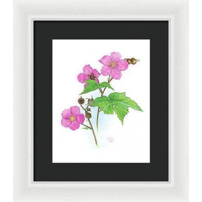 Flowering Raspberry - Framed Print | Artwork by Glen Loates