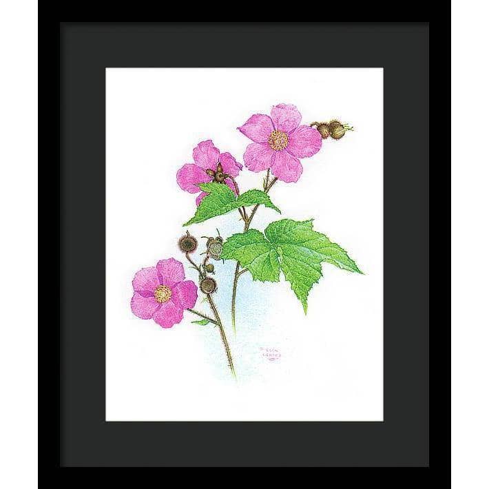 Flowering Raspberry - Framed Print | Artwork by Glen Loates