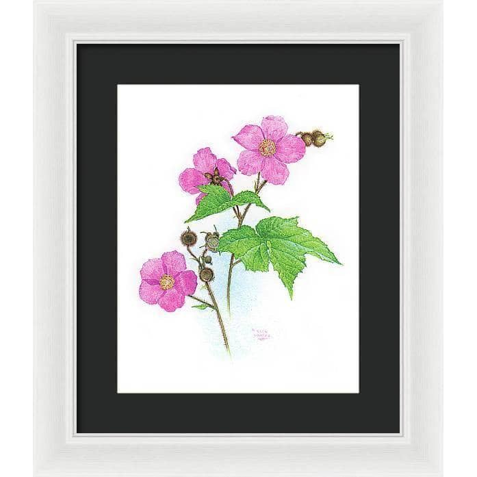 Flowering Raspberry - Framed Print | Artwork by Glen Loates