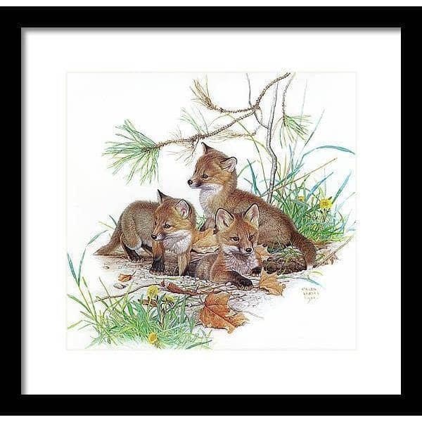Fox Kits - Framed Print | Artwork by Glen Loates