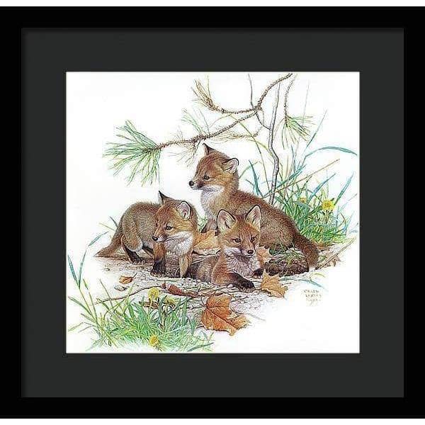 Fox Kits - Framed Print | Artwork by Glen Loates