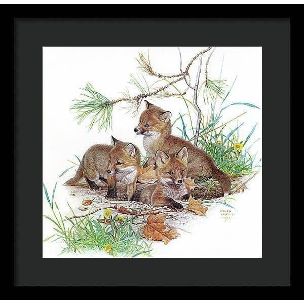 Fox Kits - Framed Print | Artwork by Glen Loates