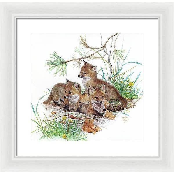 Fox Kits - Framed Print | Artwork by Glen Loates