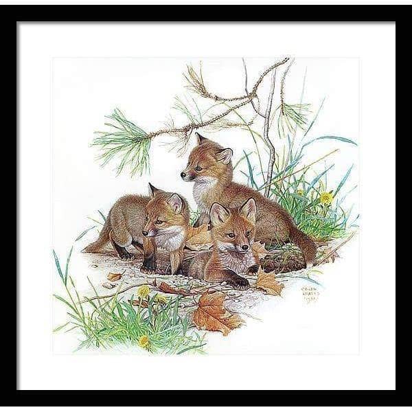 Fox Kits - Framed Print | Artwork by Glen Loates