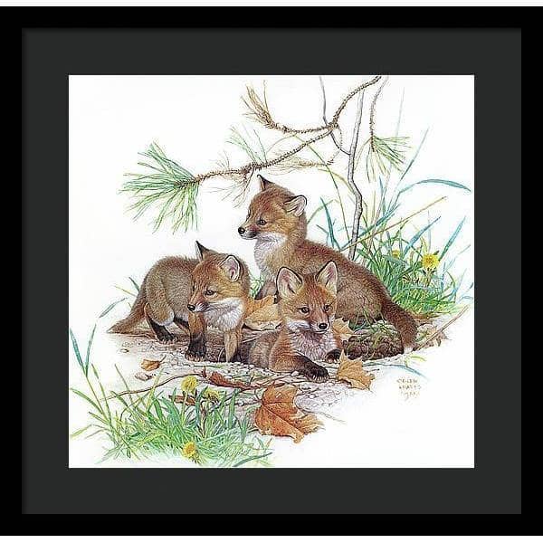 Fox Kits - Framed Print | Artwork by Glen Loates