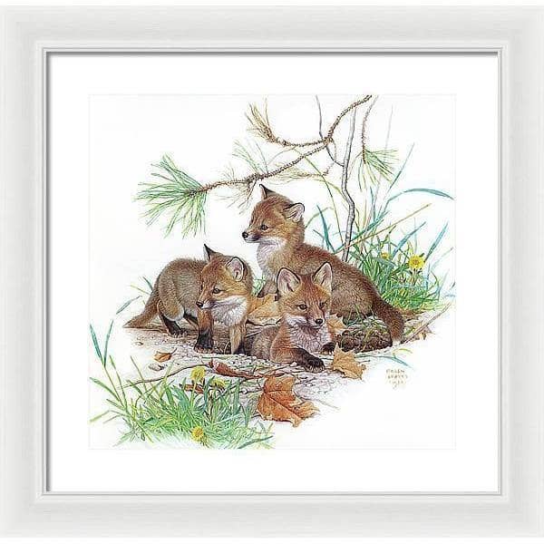 Fox Kits - Framed Print | Artwork by Glen Loates