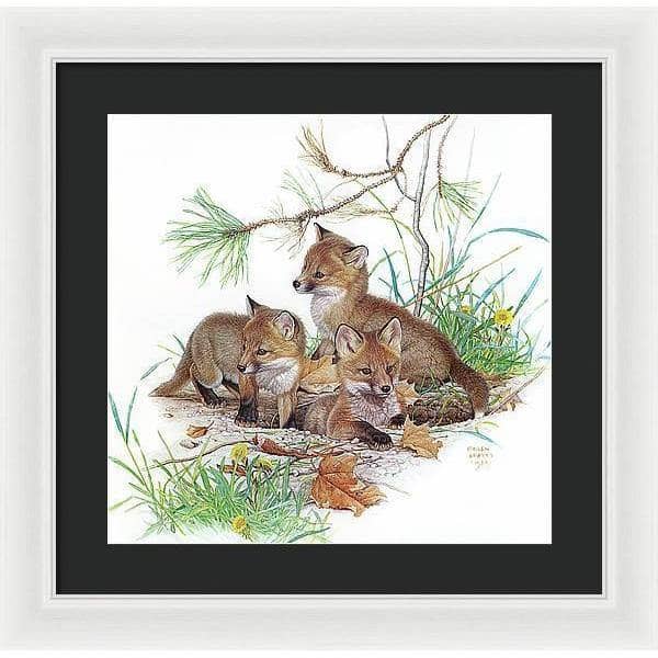 Fox Kits - Framed Print | Artwork by Glen Loates