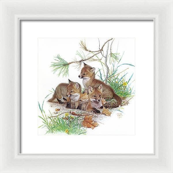 Fox Kits - Framed Print | Artwork by Glen Loates