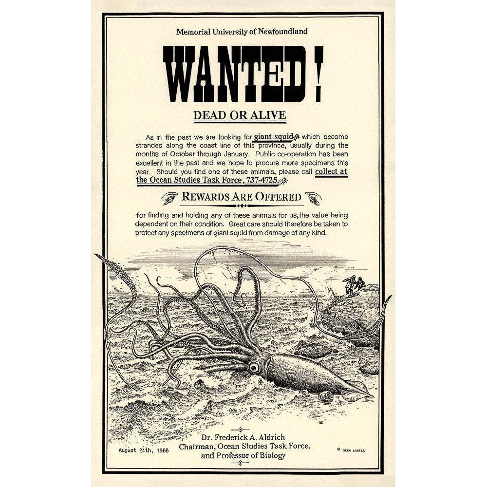 Giant Squid Wanted Poster - Framed | Artwork by Glen Loates