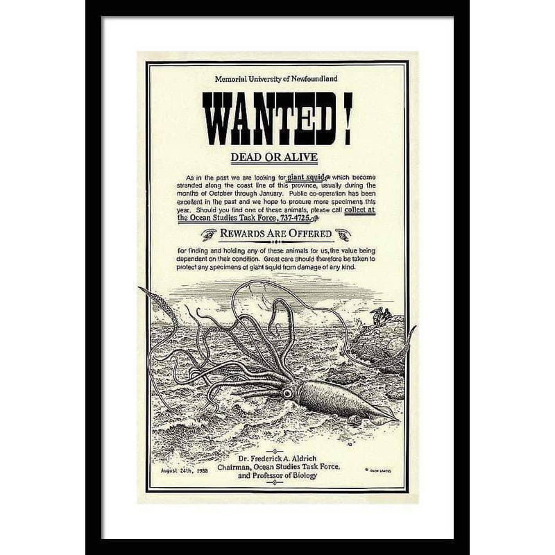Giant Squid Wanted Poster - Framed | Artwork by Glen Loates