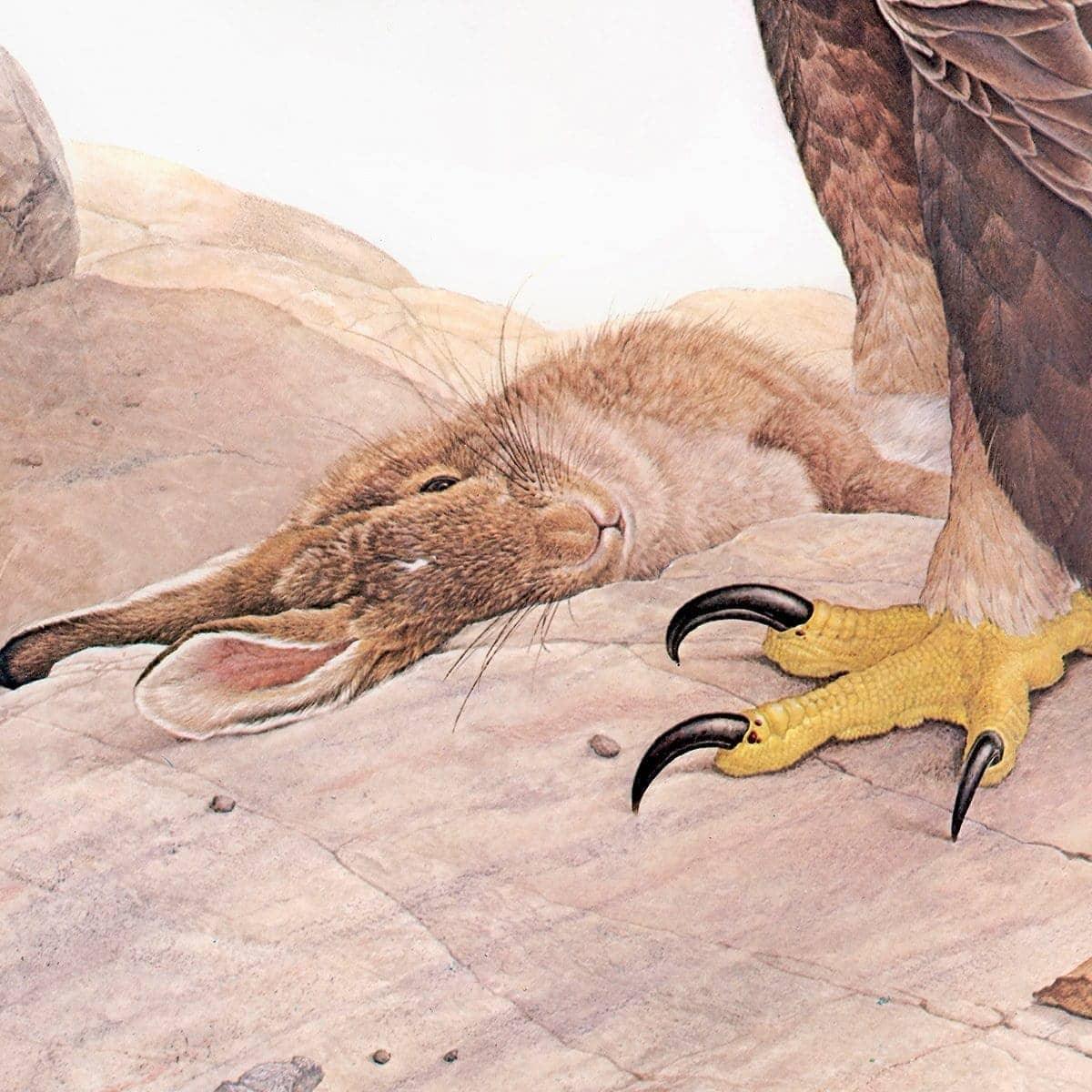 Golden Eagle - Canvas Print | Artwork by Glen Loates