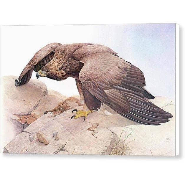 Golden Eagle - Canvas Print | Artwork by Glen Loates