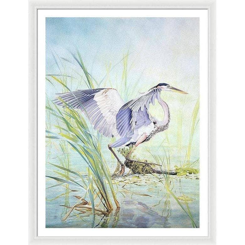 Great Blue Heron - Framed Print | Artwork by Glen Loates