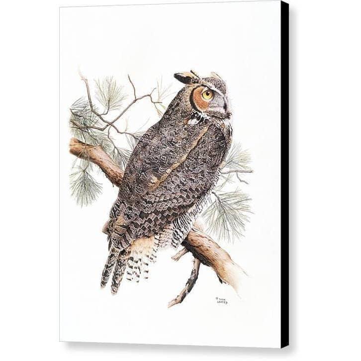 Great Horned Owl Canvas Print