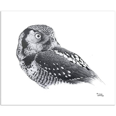Giclée sur papier