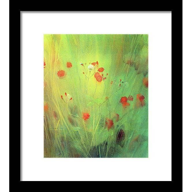 Hawkweed - Framed Print | Artwork by Glen Loates