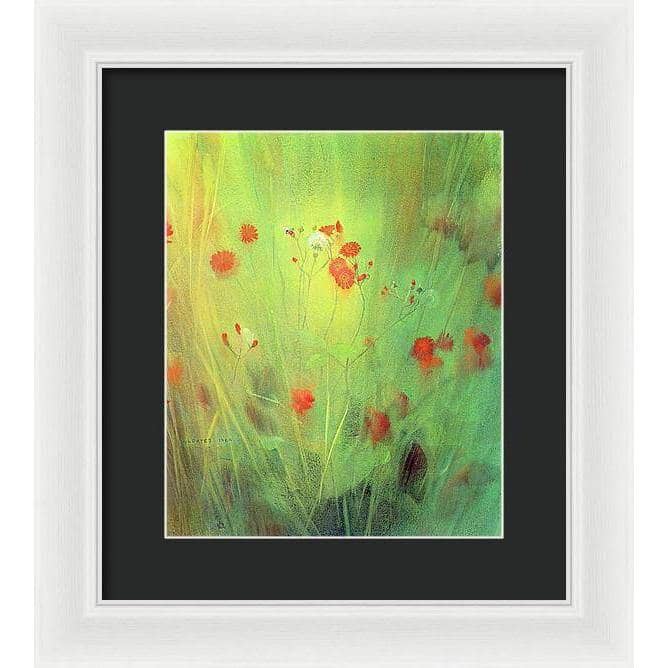 Hawkweed - Framed Print | Artwork by Glen Loates