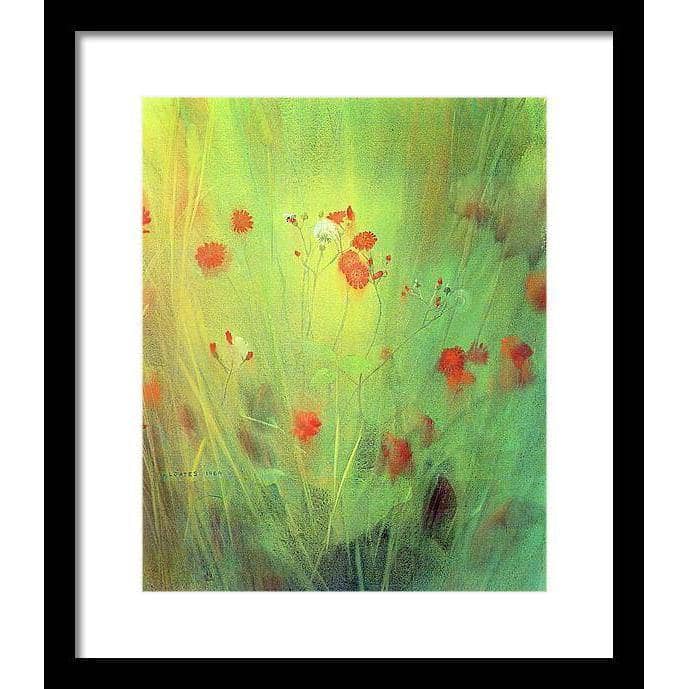 Hawkweed - Framed Print | Artwork by Glen Loates