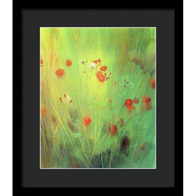 Hawkweed - Framed Print | Artwork by Glen Loates