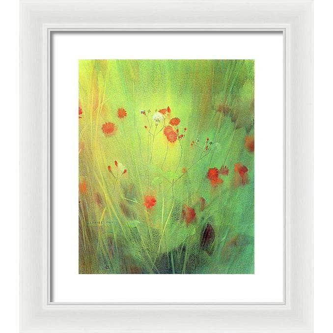 Hawkweed - Framed Print | Artwork by Glen Loates
