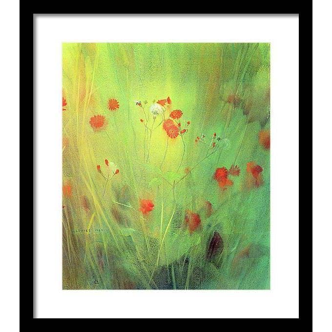 Hawkweed - Framed Print | Artwork by Glen Loates