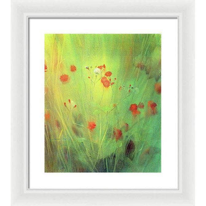 Hawkweed - Framed Print | Artwork by Glen Loates