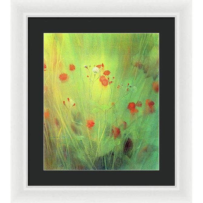 Hawkweed - Framed Print | Artwork by Glen Loates