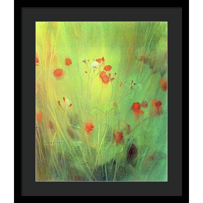 Hawkweed - Framed Print | Artwork by Glen Loates