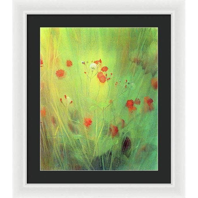 Hawkweed - Framed Print | Artwork by Glen Loates